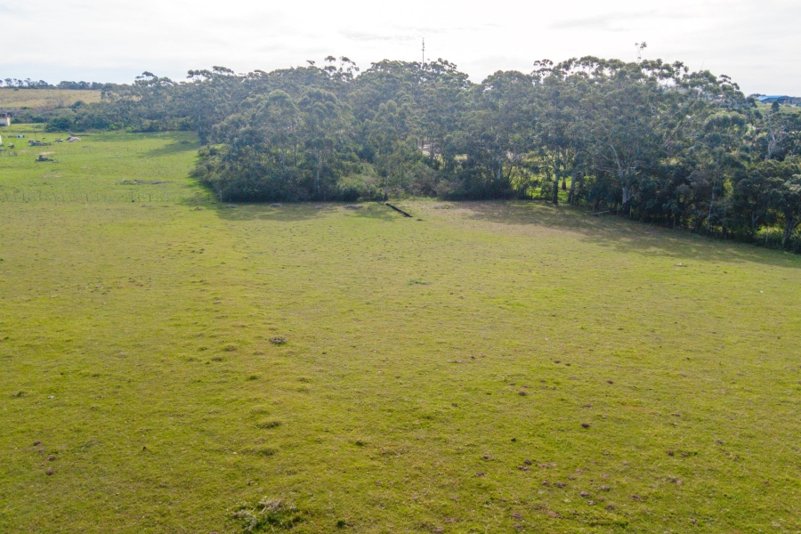 0 Bedroom Property for Sale in Alexandria Eastern Cape